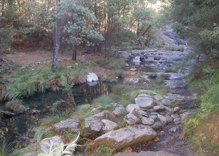Vakantiehuis Casa Sul Moledo Beach Moledo (Viana do Castelo)